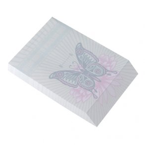 Shepherd Fairey Notesblok